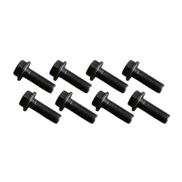 Bouten pion en kroonwiel, IRS (9 mm)/8 stuks