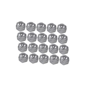 16405 Chroom wielmoerdopjes, Ø 19 mm, 20 stuks