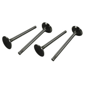 1748 Inlaatkleppen 13-1600CC dubbelpoort