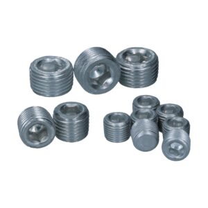 1819-200 Plugset voor oliekanalen (12)