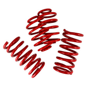 Verlaagde veren 60/45mm (4stuks) Met TüV